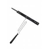 Кожаный двухслойный ошейник с белой строчкой и поводком - Pecado - купить с доставкой в Ростове-на-Дону