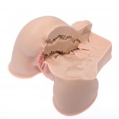 Мастурбатор-полуторс Naked Factory Kate - Naked Factory - в Ростове-на-Дону купить с доставкой