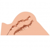 Мастурбатор-полуторс Naked Factory Hannah - Naked Factory - в Ростове-на-Дону купить с доставкой