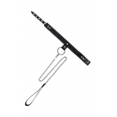 Черный узкий однослойный ошейник с серебристым поводком-цепочкой - Pecado - купить с доставкой в Ростове-на-Дону