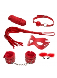 Эротический набор БДСМ из 6 предметов в красном цвете - Rubber Tech Ltd - купить с доставкой в Ростове-на-Дону