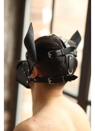 Эффектная маска собаки с металлическими заклепками - БДСМ Арсенал - купить с доставкой в Ростове-на-Дону