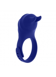 Синее эрекционное виброкольцо с клиторальной подушечкой и пультом ДУ Adjustable Fun Ring - Zero Tolerance - в Ростове-на-Дону купить с доставкой