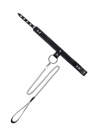 Черный узкий однослойный ошейник с серебристым поводком-цепочкой - Pecado - купить с доставкой в Ростове-на-Дону