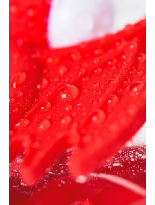 Красное эрекционное кольцо на пенис JOS COCKY DEVIL - JOS - в Ростове-на-Дону купить с доставкой