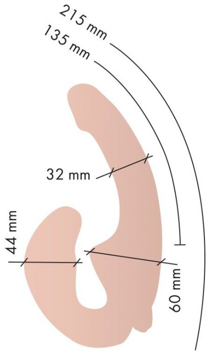 Телесный анатомический страпон с вибрацией - Главсексмаг - купить с доставкой в Ростове-на-Дону