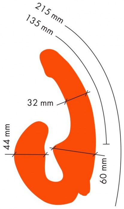 Оранжевый анатомический страпон с вибрацией - Главсексмаг - купить с доставкой в Ростове-на-Дону