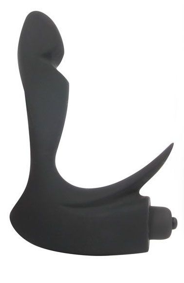 Черный силиконовый массажер простаты Sex Expert с отростком - Bior toys - в Ростове-на-Дону купить с доставкой