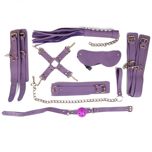 Пикантный набор БДСМ-аксессуаров фиолетового цвета - Bior toys - купить с доставкой в Ростове-на-Дону
