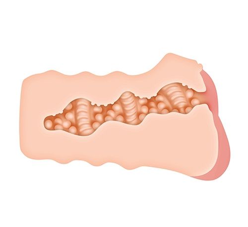 Телесный мастурбатор-вагина RILEY REID REALISTIC VAGINA STROKER - Zero Tolerance - в Ростове-на-Дону купить с доставкой