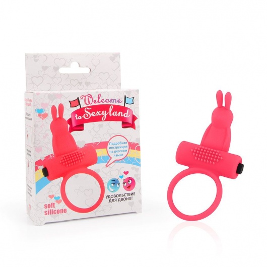 Красное эрекционное виброкольцо-зайчик со съемной вибропулей - Bior toys - в Ростове-на-Дону купить с доставкой