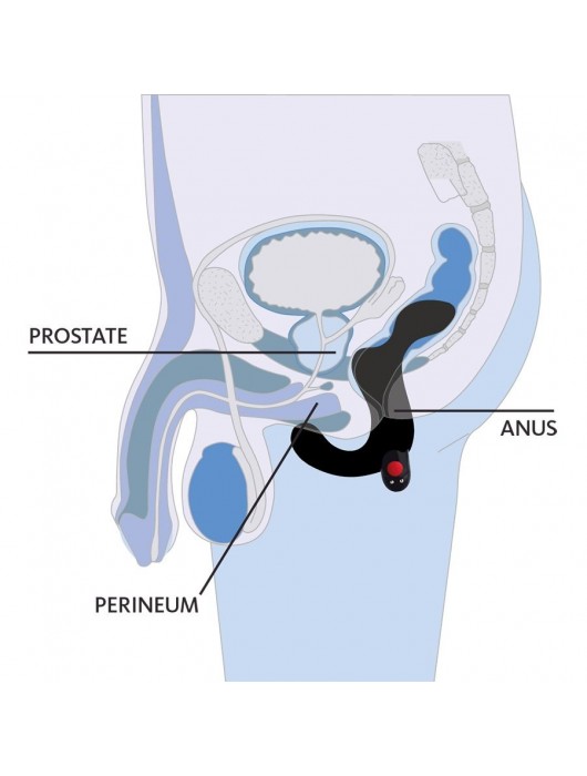Черный массажёр простаты Duke - Fun Factory - в Ростове-на-Дону купить с доставкой