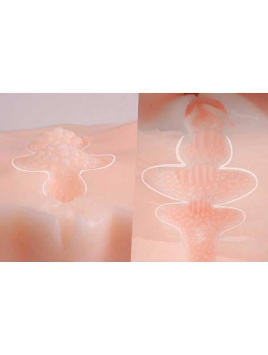 Мастурбатор-полуторс Angel без вибрации - KOKOS - в Ростове-на-Дону купить с доставкой