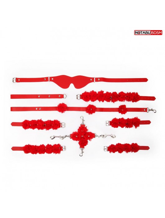 Стильный красный набор БДСМ в сумке - Bior toys - купить с доставкой в Ростове-на-Дону