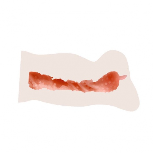 Вибрирующий мастурбатор со входом в виде вагины - 14 см. - Baile - в Ростове-на-Дону купить с доставкой