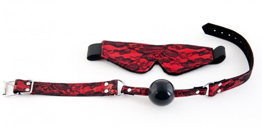 Кружевной набор красного цвета: маска и кляп - ToyFa - купить с доставкой в Ростове-на-Дону