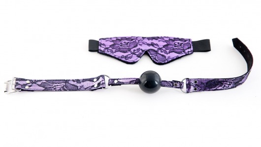 Кружевной набор пурпурного цвета: маска и кляп - ToyFa - купить с доставкой в Ростове-на-Дону