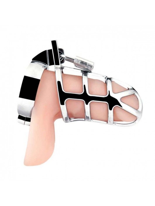 Серебристая металлическая клетка для члена с замком Enslave Cock Cage - BlueLine - купить с доставкой в Ростове-на-Дону