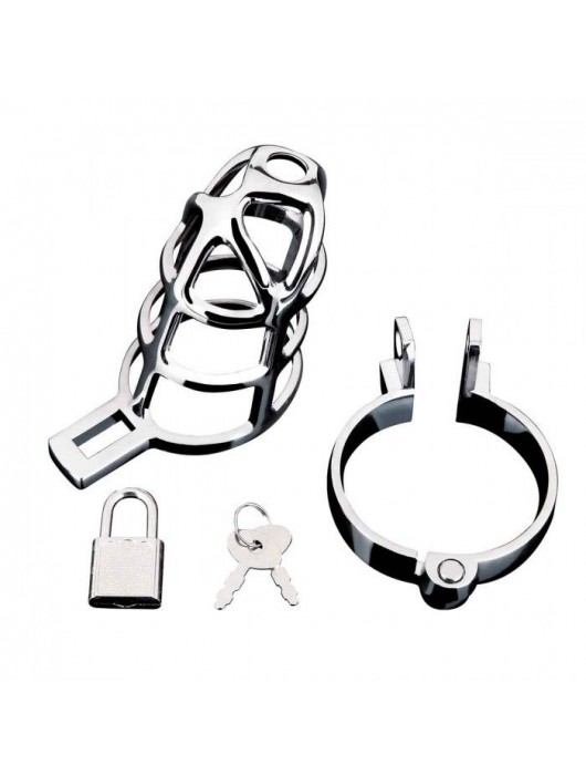 Серебристая металлическая клетка для члена с замком Enslave Cock Cage - BlueLine - купить с доставкой в Ростове-на-Дону