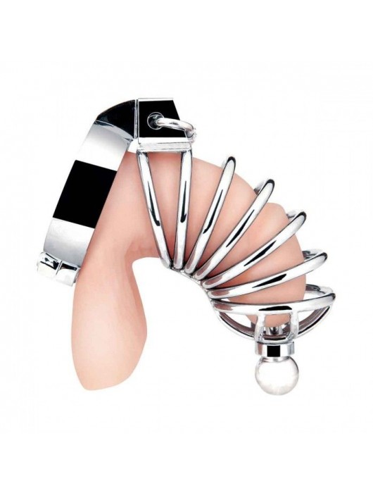 Серебристая клетка для члена Urethral Play Cage - BlueLine - купить с доставкой в Ростове-на-Дону
