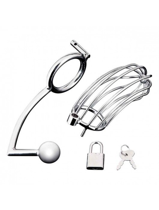 Серебристая металлическая клетка с анальным стимулятором Cock Cage - BlueLine - купить с доставкой в Ростове-на-Дону