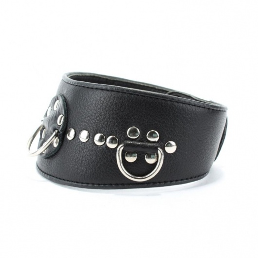 Чёрный кожаный ошейник с полукольцами и клёпками - БДСМ Арсенал - купить с доставкой в Ростове-на-Дону