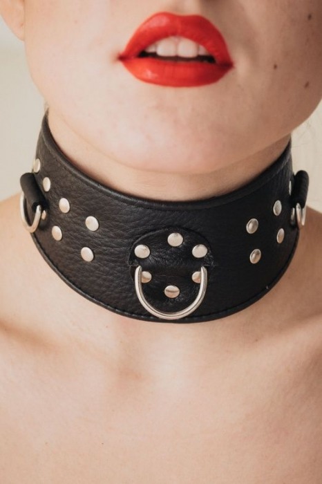 Кожаный ошейник для эротических игр - БДСМ Арсенал - купить с доставкой в Ростове-на-Дону