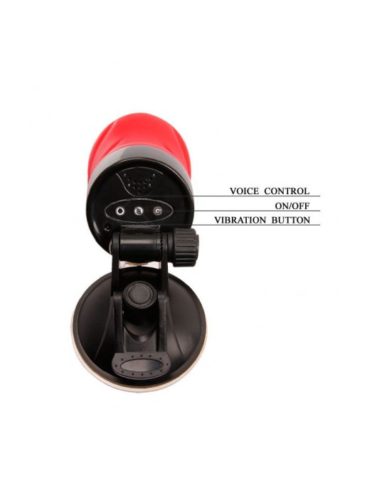 Мастурбатор-анус Delia с вибрацией и голосом - Baile - в Ростове-на-Дону купить с доставкой