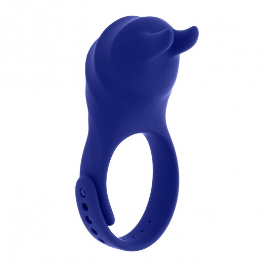Синее эрекционное виброкольцо с клиторальной подушечкой и пультом ДУ Adjustable Fun Ring - Zero Tolerance - в Ростове-на-Дону купить с доставкой