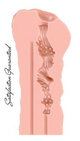 Мастурбатор Satisfaction Night Wish - Lola Games - в Ростове-на-Дону купить с доставкой