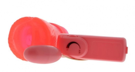 Вагина-девственница с вибрацией и выносным пультом A VIRGIN LITTLE MISS KITTY - Seven Creations - в Ростове-на-Дону купить с доставкой