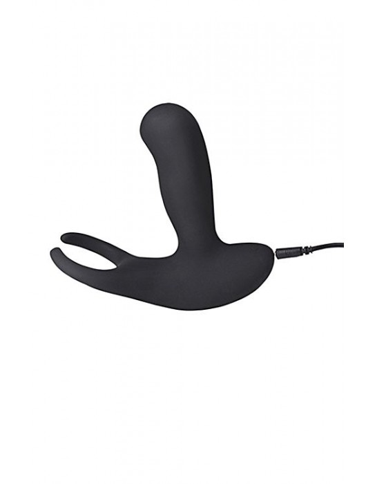 Стимулятор простаты Levett Earl с 2 моторами и пультом ДУ - Levett - в Ростове-на-Дону купить с доставкой