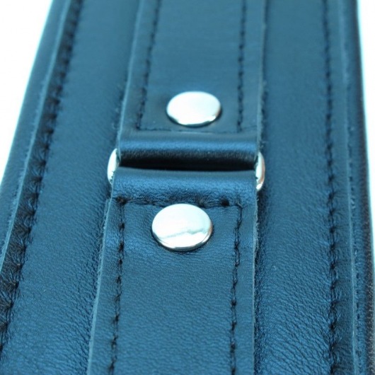 Ошейник из гладкой кожи - БДСМ Арсенал - купить с доставкой в Ростове-на-Дону