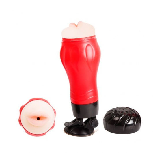 Мастурбатор-ротик с вибрацией, функцией голоса и в колбе с присоской - Baile - в Ростове-на-Дону купить с доставкой