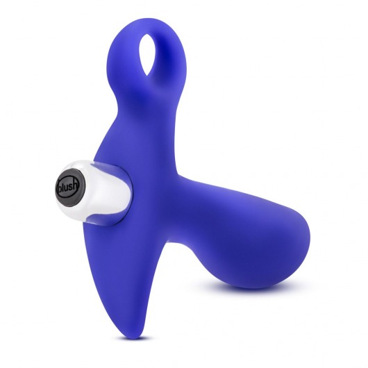 Синий стимулятор простаты с ручкой-кольцом Performance Prostimulator 02 - Blush Novelties - в Ростове-на-Дону купить с доставкой