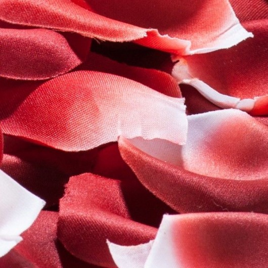 Искусственные лепестки роз с запахом - Bijoux Indiscrets - купить с доставкой в Ростове-на-Дону