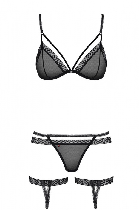Игривый полупрозрачный комплект с гартерами - Obsessive купить с доставкой