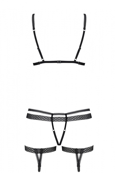Игривый полупрозрачный комплект с гартерами - Obsessive купить с доставкой