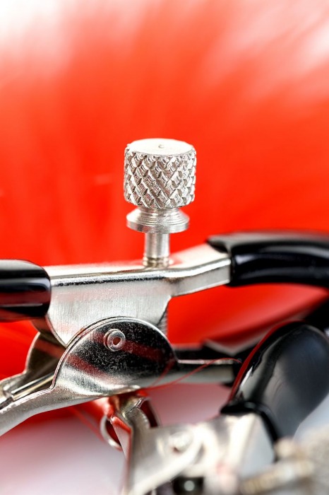 Зажимы для сосков с красным пухом Theatre - ToyFa - купить с доставкой в Ростове-на-Дону