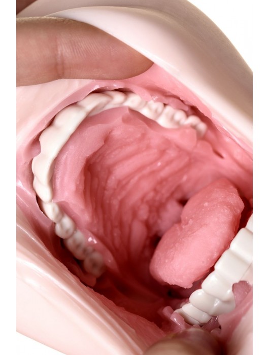 Ультра реалистичный мастурбатор-ротик Sugofella - Enjoy toys - в Ростове-на-Дону купить с доставкой