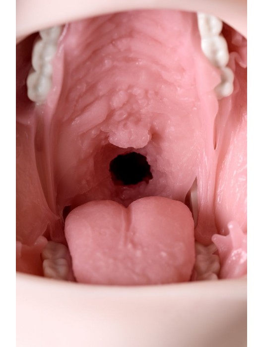 Ультра реалистичный мастурбатор-ротик Sugofella - Enjoy toys - в Ростове-на-Дону купить с доставкой