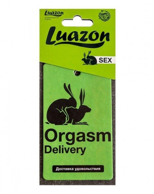 Ароматизатор в авто «Orgasm» с ароматом мужского парфюма - Luazon - купить с доставкой в Ростове-на-Дону